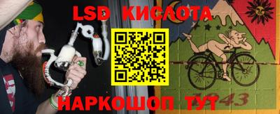 стаф Кинель