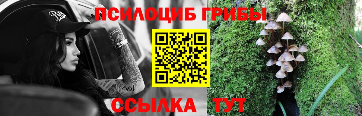 Красногорск  Псилоцибиновые грибы MAGIC MUSHROOMS  Вход с VPN 